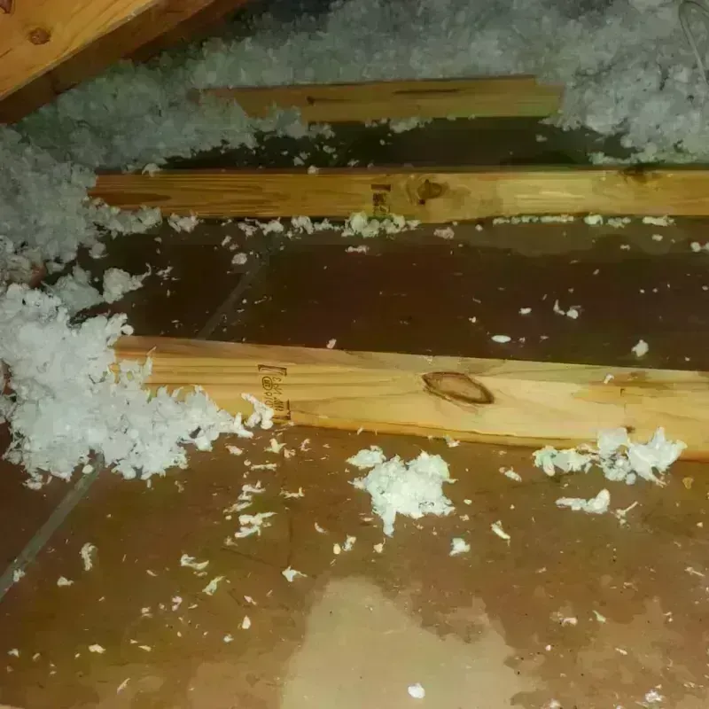 Attic Water Damage in Red Bay, AL