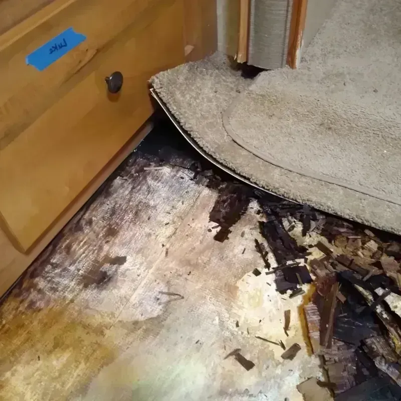 Best Wood Floor Water Damage Service in Red Bay, AL